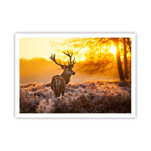 Affiche - Poster - Un cerf sur fond de forêt d'automne illuminée par le soleil doré - 100x70cm - Roi de la forêt automnal - Décoration murale moderne pour le salon et la chambre ARTTOR