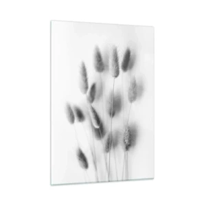 Impression sur verre - Image sur verre - Épis d'herbe noirs et blancs sur fond clair dans un style minimaliste - 50x70cm - Son herbe duveteuse - Décoration murale moderne pour le salon et la chambre ARTTOR