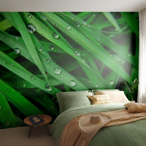 Papier Peint Photo Premium Sand - Jouez dans le vert - Nature, L'herbe verte, Jardin - 400x280 cm