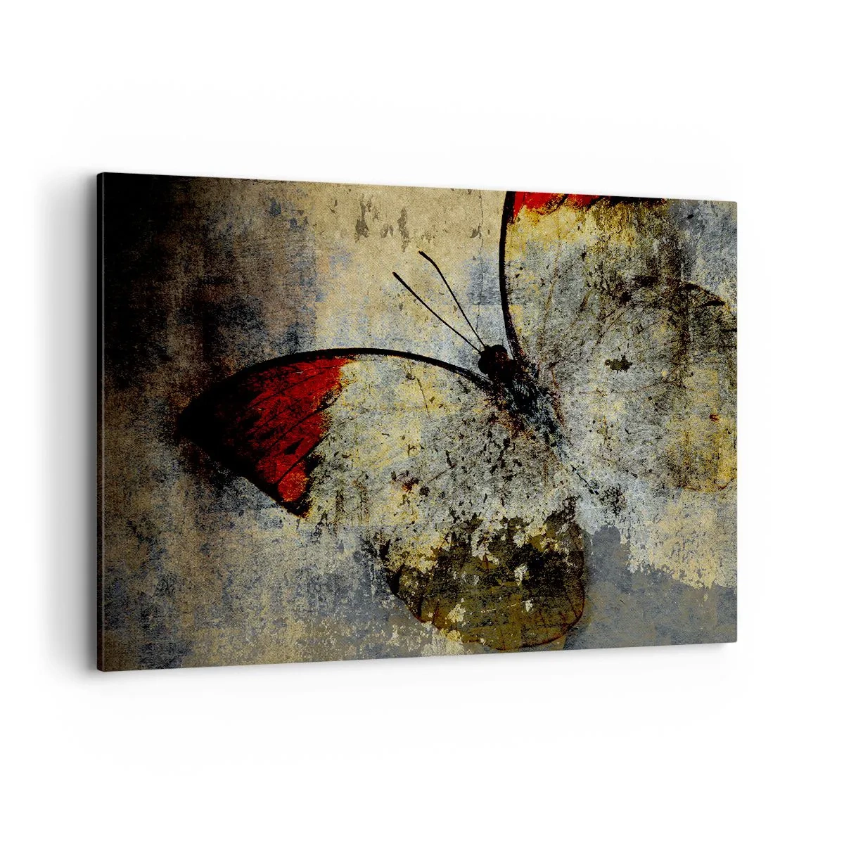 Impression sur toile - Image sur toile - Un papillon dans les tons de rouge et de gris sur un fond texturé - 120x80cm - Regarde avant que je disparaisse - Décoration murale moderne pour le salon et la chambre ARTTOR
