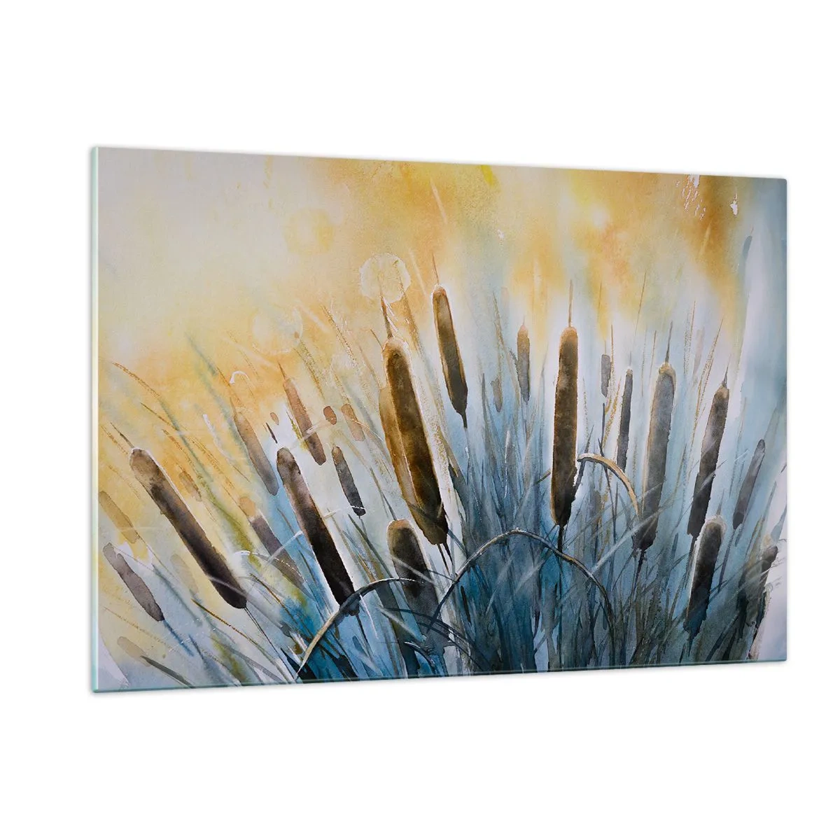 Impression sur verre - Image sur verre - Quenouilles peintes contre un ciel ensoleillé - 120x80cm - Fraicheur de l'eau, chaleur du soleil - Décoration murale moderne pour le salon et la chambre ARTTOR