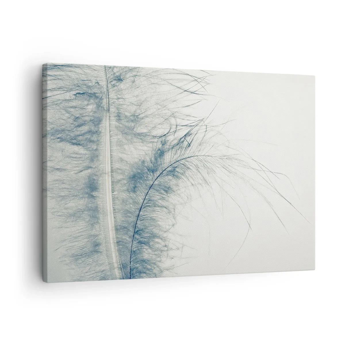 Impression sur toile - Image sur toile - Les sept natures - 70x50 cm
