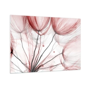 Impression sur verre - Image sur verre - Pissenlits subtils dans des tons de rose et de noir - 100x70cm - Avant le départ - Décoration murale moderne pour le salon et la chambre ARTTOR