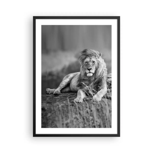 Affiche dans un cadre noir - Poster - Portrait noir et blanc d'un lion majestueux sur fond de savane - 50x70cm - Sieste royale - Décoration murale moderne pour le salon et la chambre ARTTOR