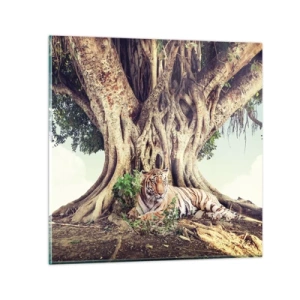 Impression sur verre - Image sur verre - Vue du Livre de la Genèse - 50x50 cm