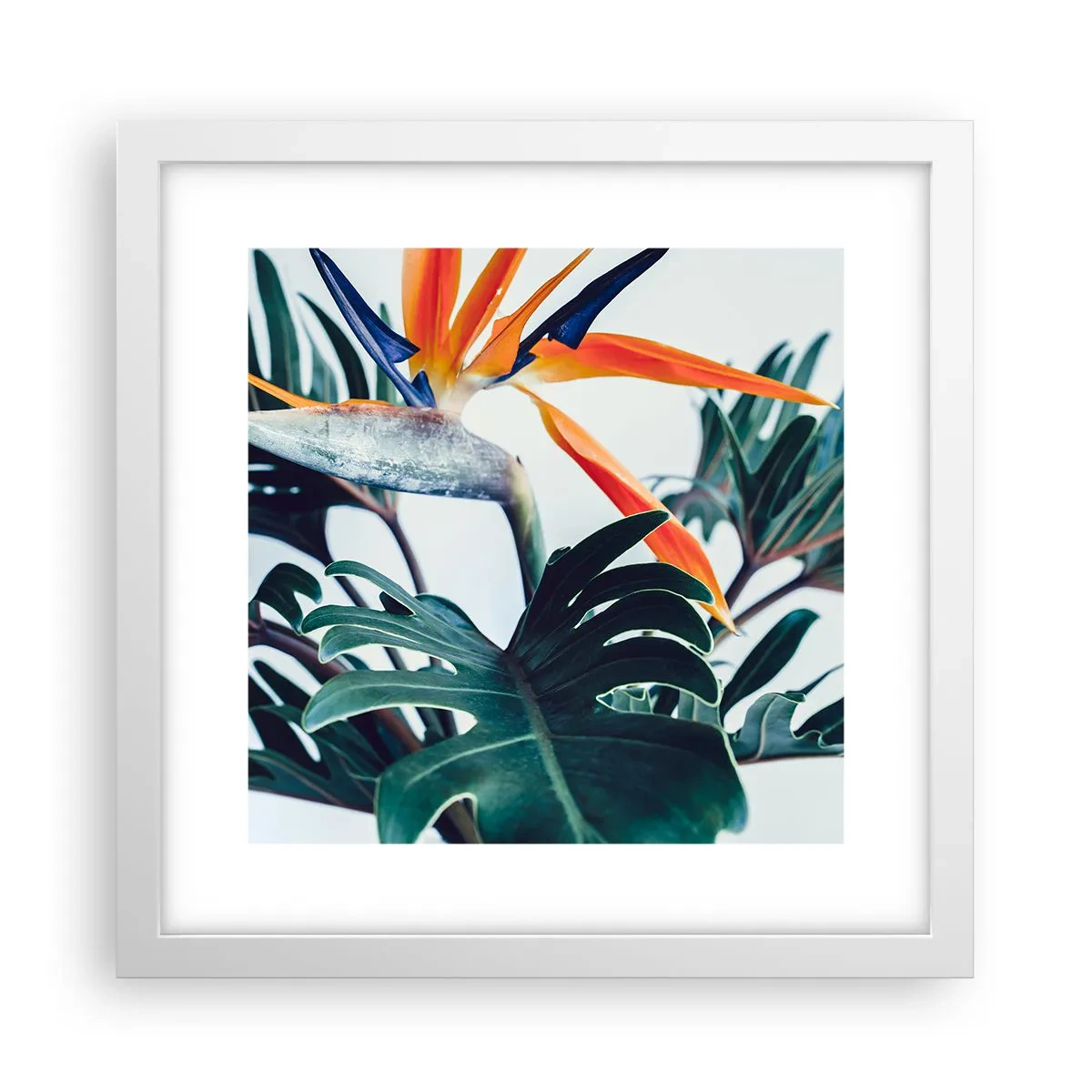 Affiche dans un cadre blanc - Poster - Le buisson oiseaux - 30x30 cm
