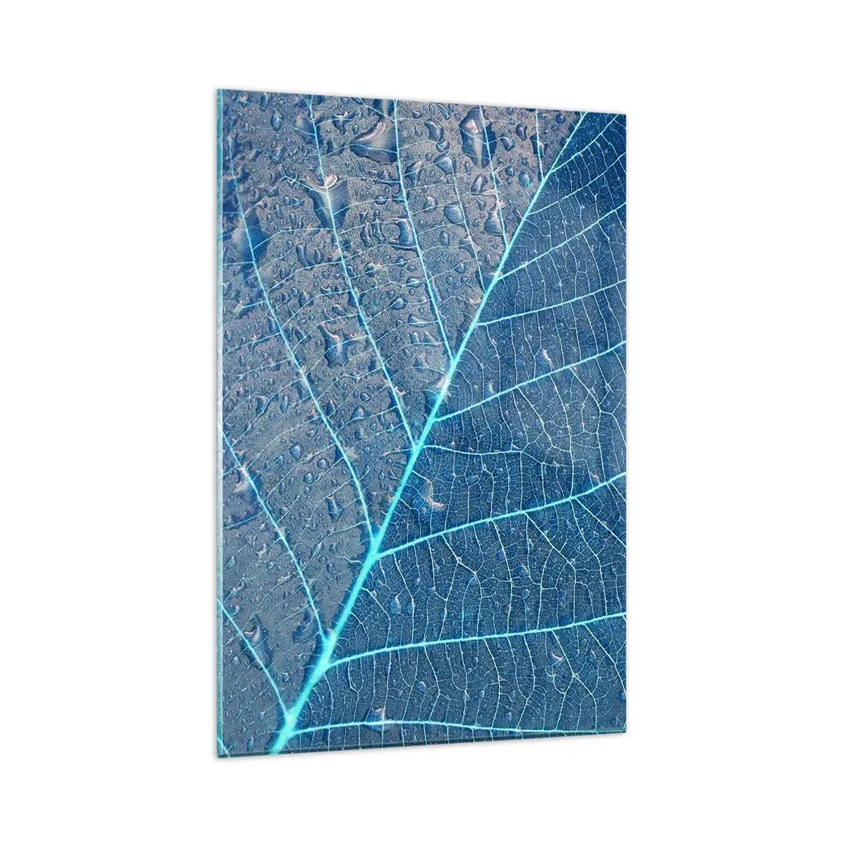 Impression sur verre - Image sur verre - Une feuille dans des tons bleus avec des gouttes d'eau - 80x120cm - La vie en bleu - Décoration murale moderne pour le salon et la chambre ARTTOR