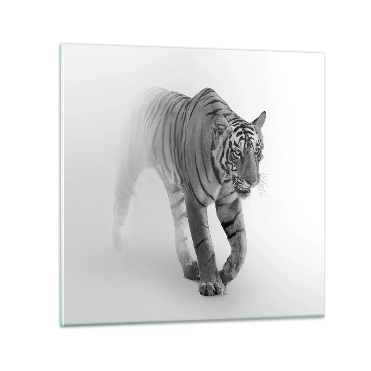 Impression sur verre - Image sur verre - Accroupi dans le brouillard - 50x50 cm