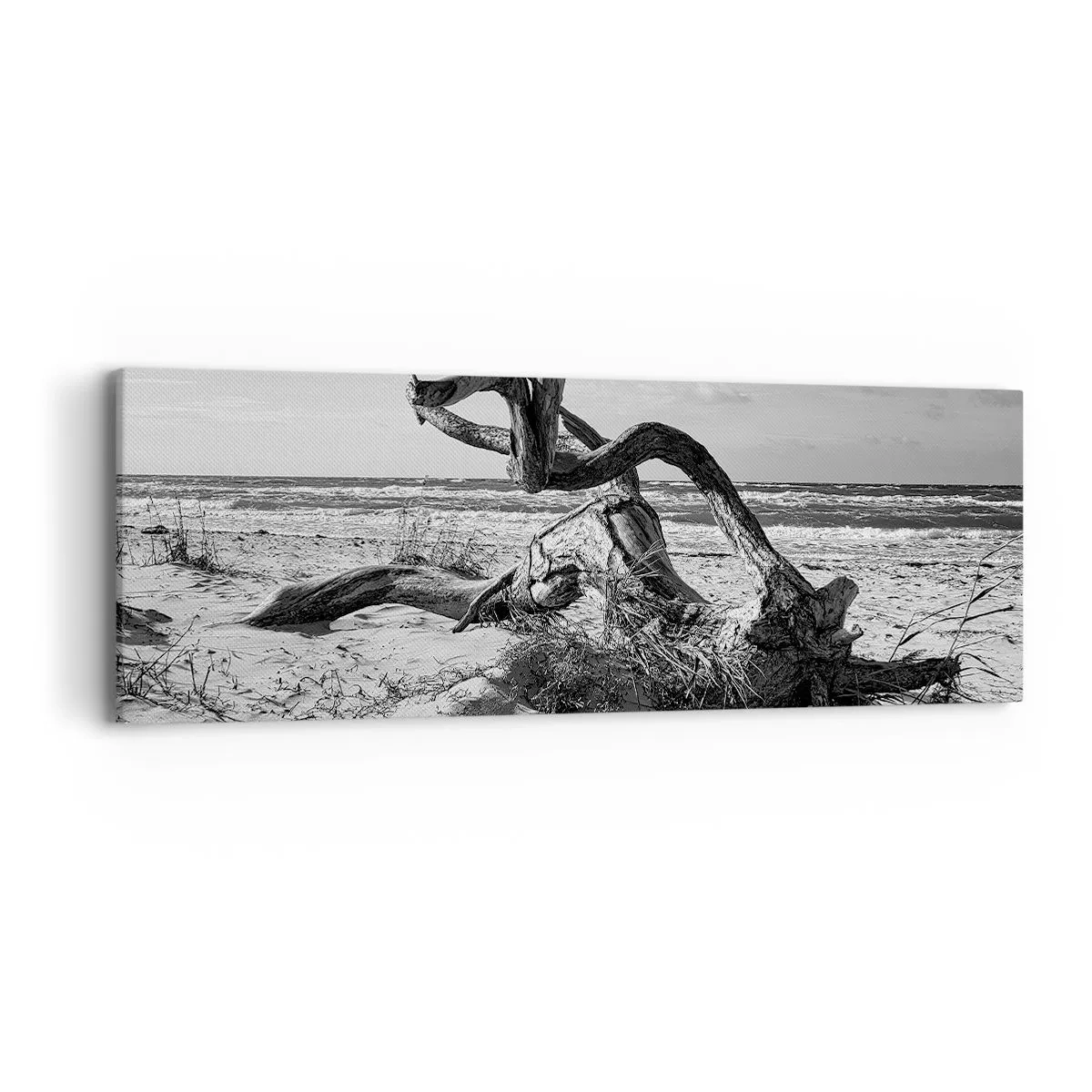 Impression sur toile - Image sur toile - Sculpture marine - 90x30 cm
