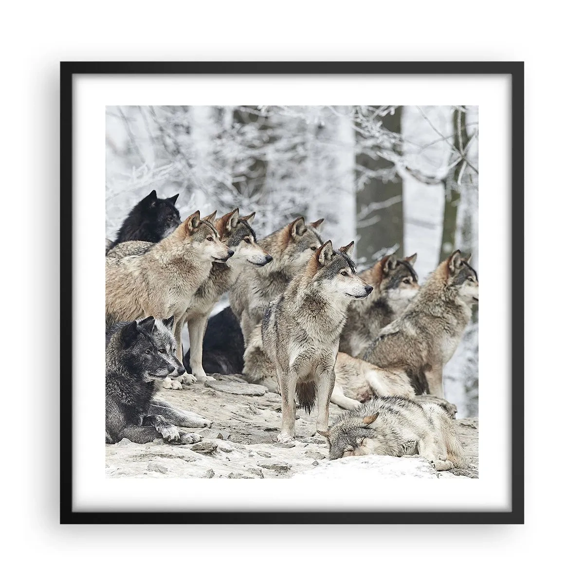 Affiche dans un cadre noir - Poster - Famille et amis - 50x50 cm