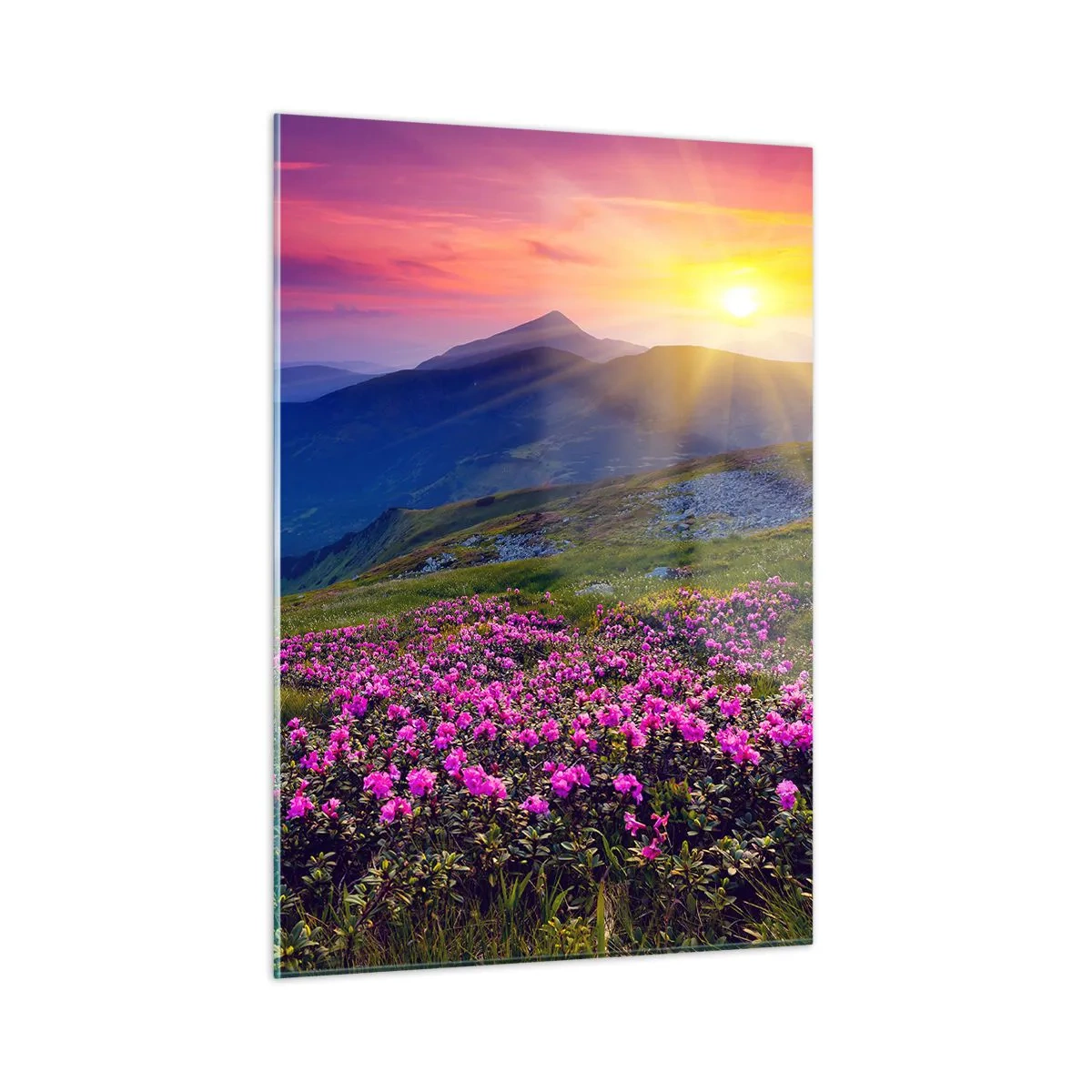 Impression sur verre - Image sur verre - Prairies fleuries dans les montagnes au lever du soleil - 50x70cm - … Et autour, ça sent le pin des montagnes et l'odeur de la prairie - Décoration murale moderne pour le salon et la chambre ARTTOR