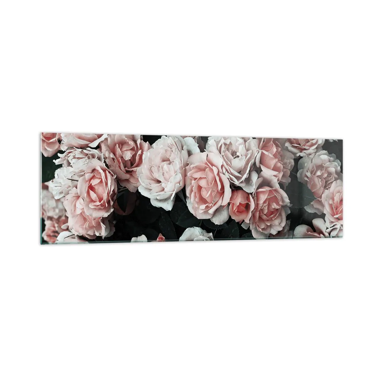 Impression sur verre - Image sur verre - Roses roses sur fond sombre dans une composition subtile - 160x50cm - Ensemble de rose - Décoration murale moderne pour le salon et la chambre ARTTOR