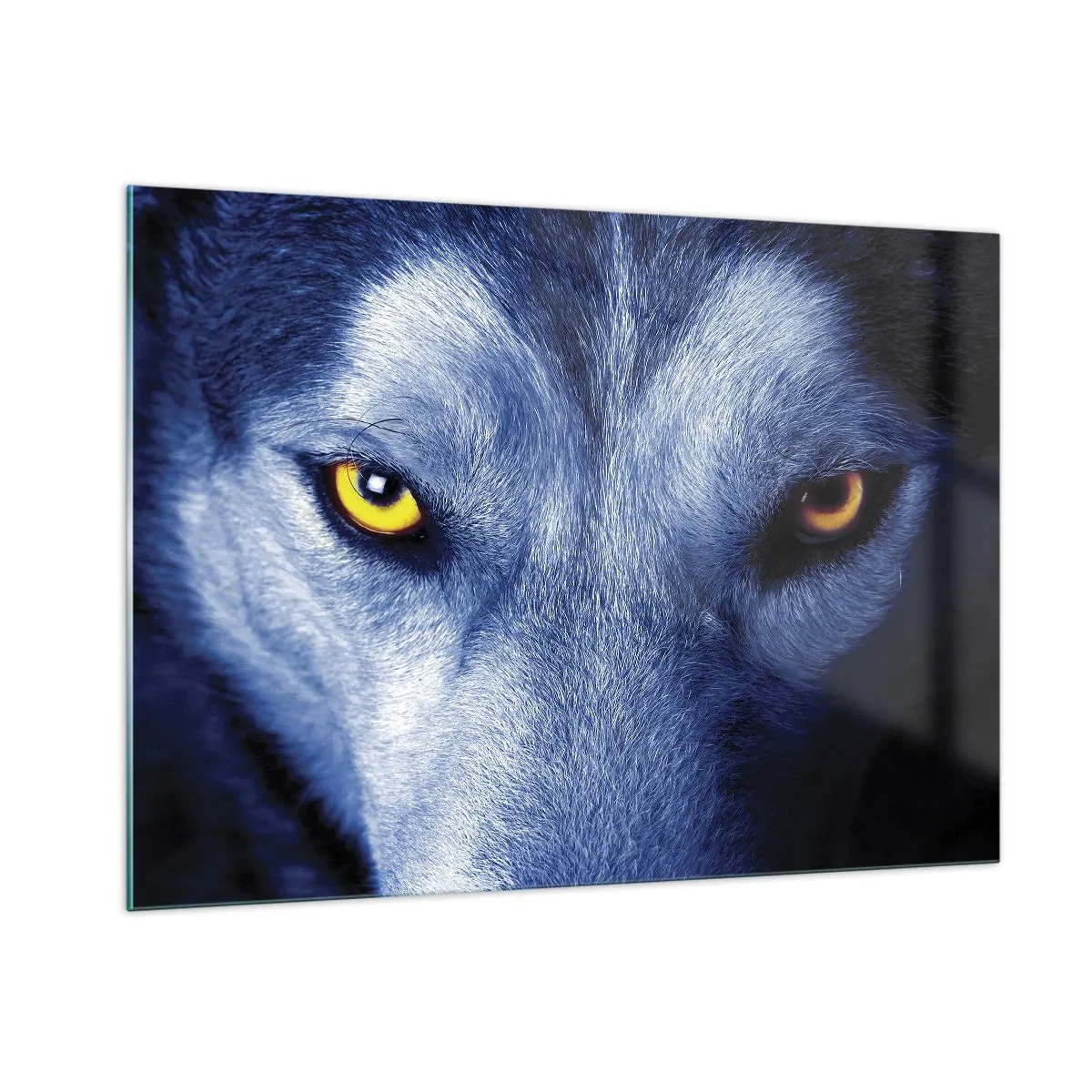 Impression sur verre - Image sur verre - Le regard envoûtant d'un loup - 100x70cm - Regars hypnotique - Décoration murale moderne pour le salon et la chambre ARTTOR