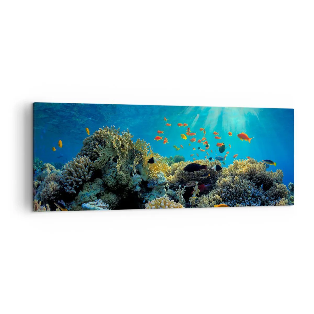 Impression sur toile - Image sur toile - Récif corallien avec des poissons sous les rayons du soleil sous l'eau - 140x50cm - Trésor sous-marin - Décoration murale moderne pour le salon et la chambre ARTTOR