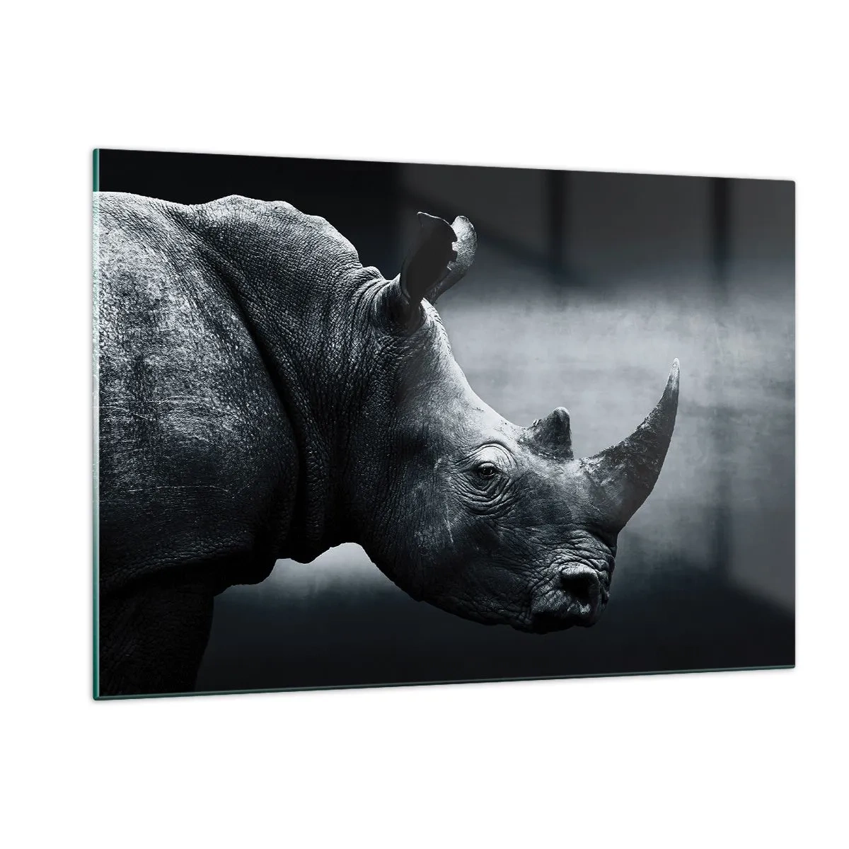 Impression sur verre - Image sur verre - Photographie en noir et blanc d'un rhinocéros - 120x80cm - Le profil droit - Décoration murale moderne pour le salon et la chambre ARTTOR