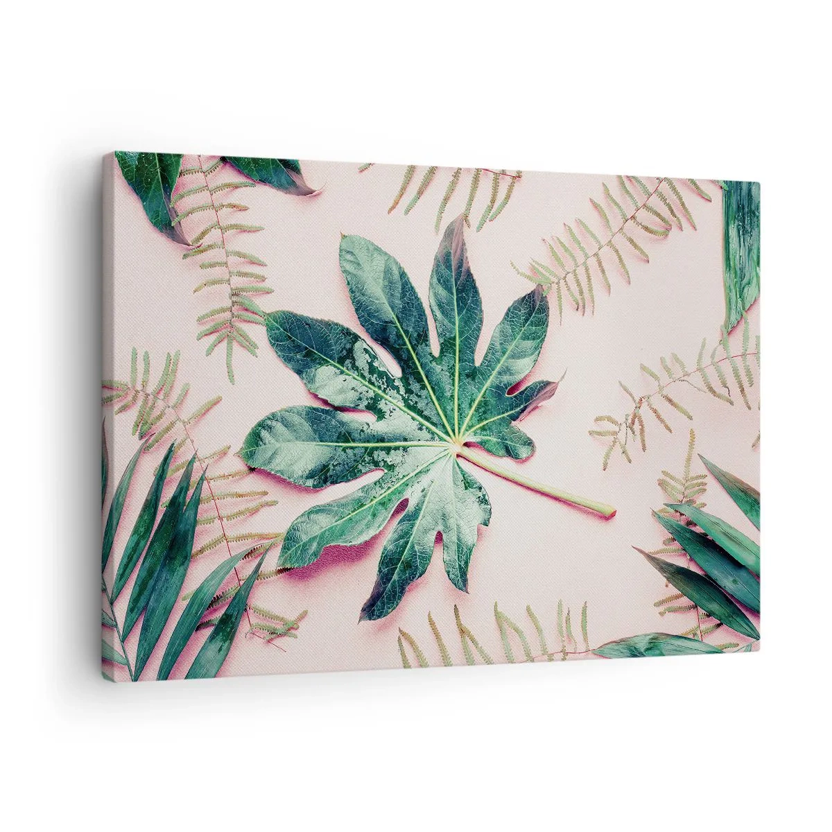 Impression sur toile - Image sur toile - Feuilles tropicales sur fond pastel clair - 70x50cm - Étude de verdure sur fond rose - Décoration murale moderne pour le salon et la chambre ARTTOR
