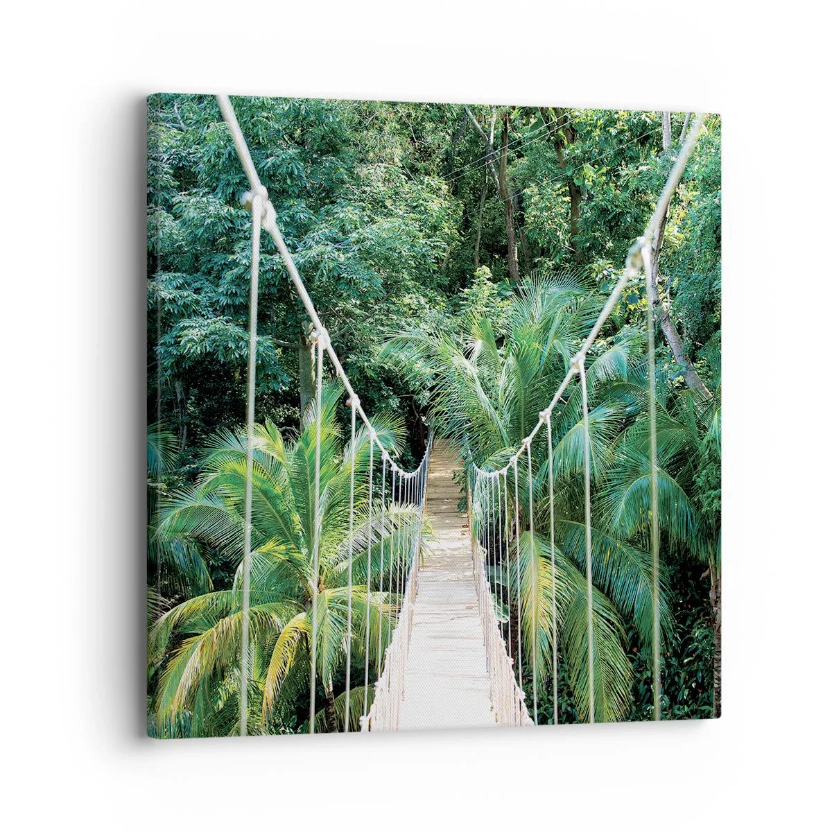 Impression sur toile - Image sur toile - Welcome to the jungle! - 30x30 cm