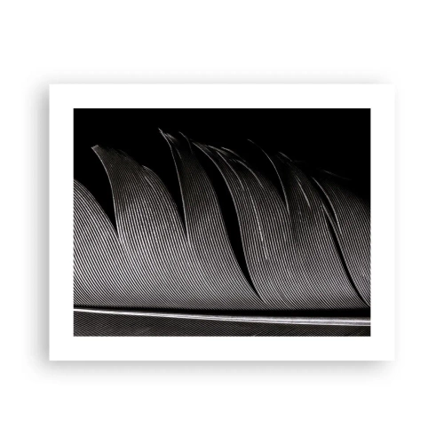 Affiche - Poster - La plume – un design magnifique - 50x40 cm