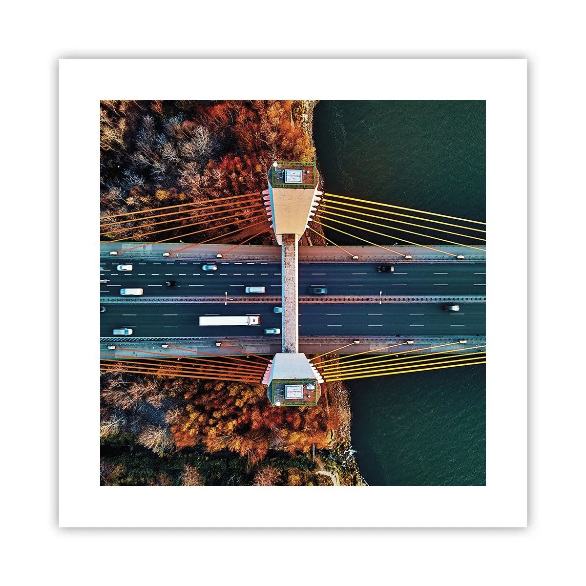 Affiche - Poster - Au dessus de l'eau et de la forêt - 40x40 cm