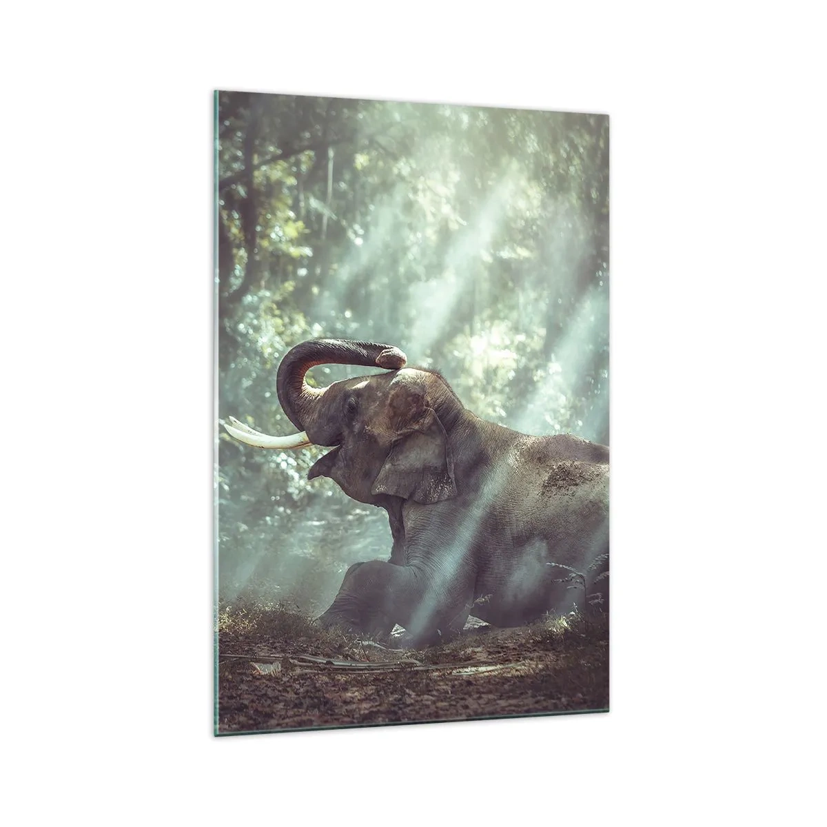Impression sur verre - Image sur verre - Un garçon et un éléphant dans un décor forestier éclairé par la lumière du soleil - 70x100cm - Et écoute ça… - Décoration murale moderne pour le salon et la chambre ARTTOR
