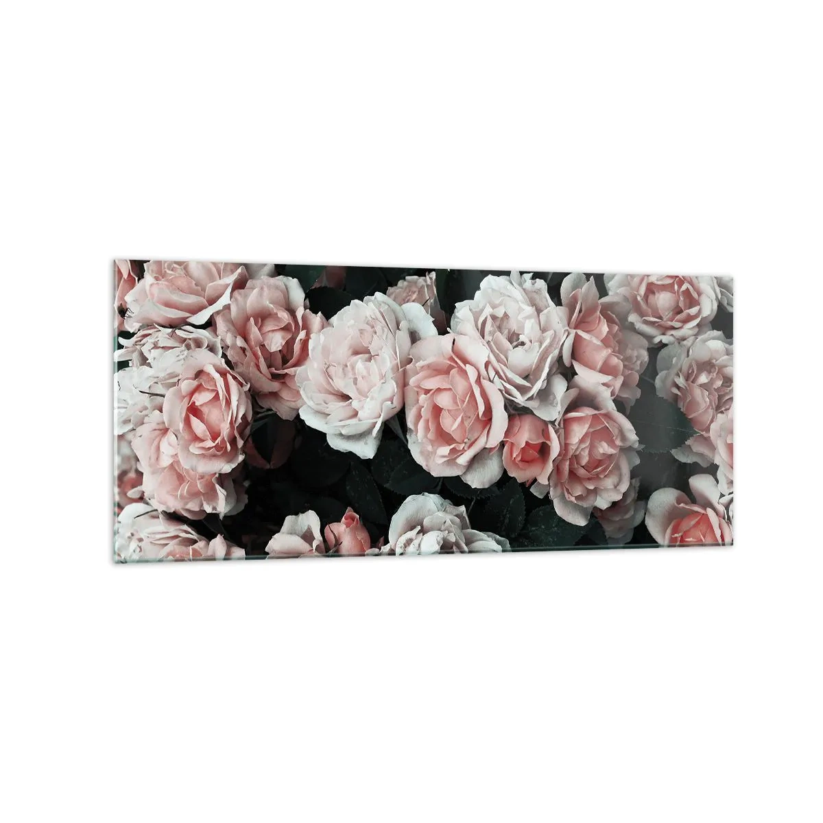 Impression sur verre - Image sur verre - Roses roses sur fond sombre dans une composition subtile - 120x50cm - Ensemble de rose - Décoration murale moderne pour le salon et la chambre ARTTOR