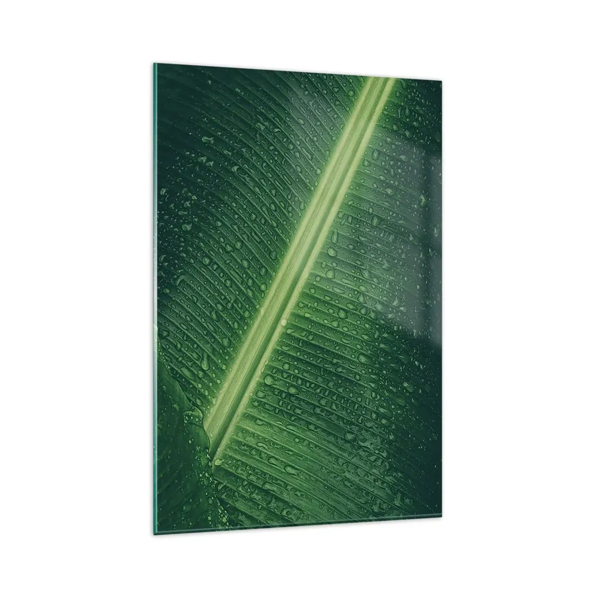 Impression sur verre - Image sur verre - Une feuille verte avec des gouttes d'eau à sa surface - 80x120cm - Structure de vert - Décoration murale moderne pour le salon et la chambre ARTTOR