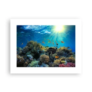 Affiche - Poster - Trésor sous-marin - 40x30 cm