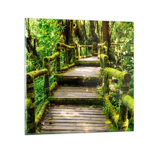Impression sur verre - Image sur verre - Un couloir de verdure - 30x30 cm