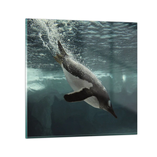 Impression sur verre - Image sur verre - Bienvenue dans mon monde - 40x40 cm