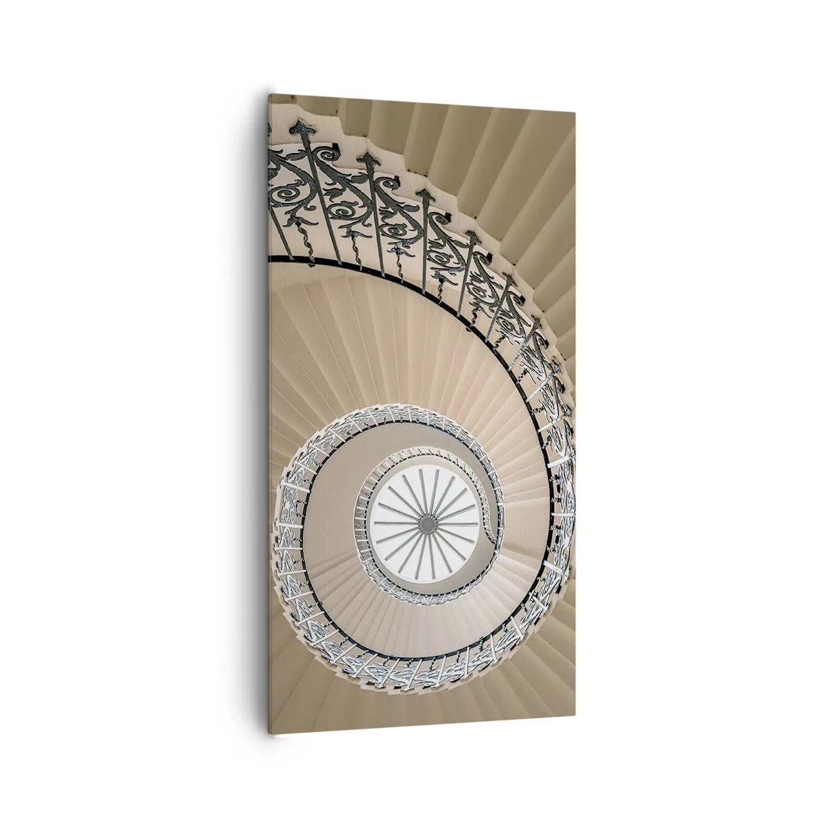 Impression sur toile - Image sur toile - À l'intérieur de la coquille - 65x120 cm