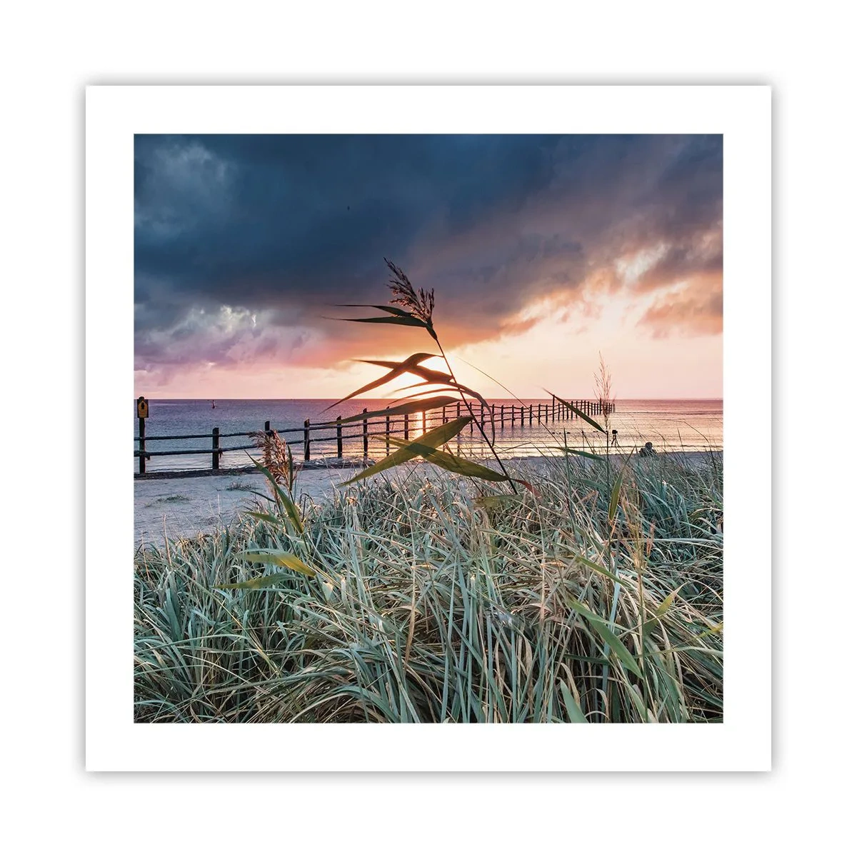 Affiche - Poster - Ça ne passe pas avec le vent - 50x50 cm