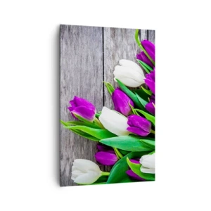 Impression sur toile - Image sur toile - Un bouquet de tulipes violettes et blanches sur un fond en bois - 80x120cm - Le jour des vacances de printemps - Décoration murale moderne pour le salon et la chambre ARTTOR