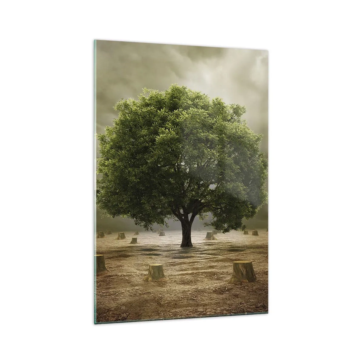 Impression sur verre - Image sur verre - Un arbre vert entouré de troncs d'arbres abattus contre un ciel nuageux - 70x100cm - Tout l'espoir - Décoration murale moderne pour le salon et la chambre ARTTOR
