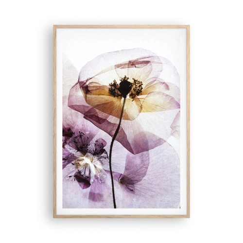 Affiche dans un chêne clair - Poster - Corps de fleurs transparente - 70x100 cm