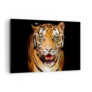 Impression sur toile - Image sur toile - Un tigre avec la gueule ouverte sur un fond noir - 100x70cm - Le coeur sauvageon - Décoration murale moderne pour le salon et la chambre ARTTOR