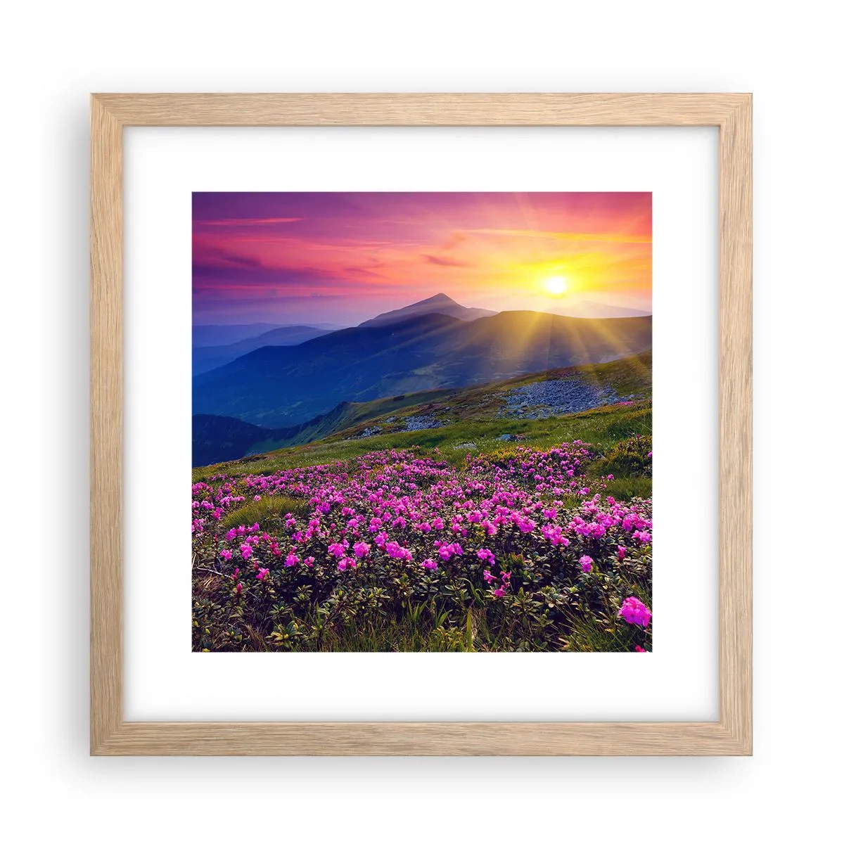 Affiche dans un chêne clair - Poster - … Et autour, ça sent le pin des montagnes et l'odeur de la prairie - 30x30 cm