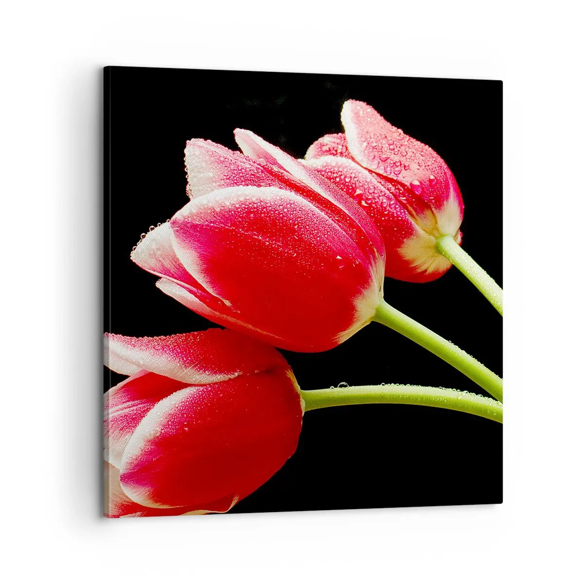 Impression sur toile - Image sur toile - Une promesse d'amour pur - 60x60 cm