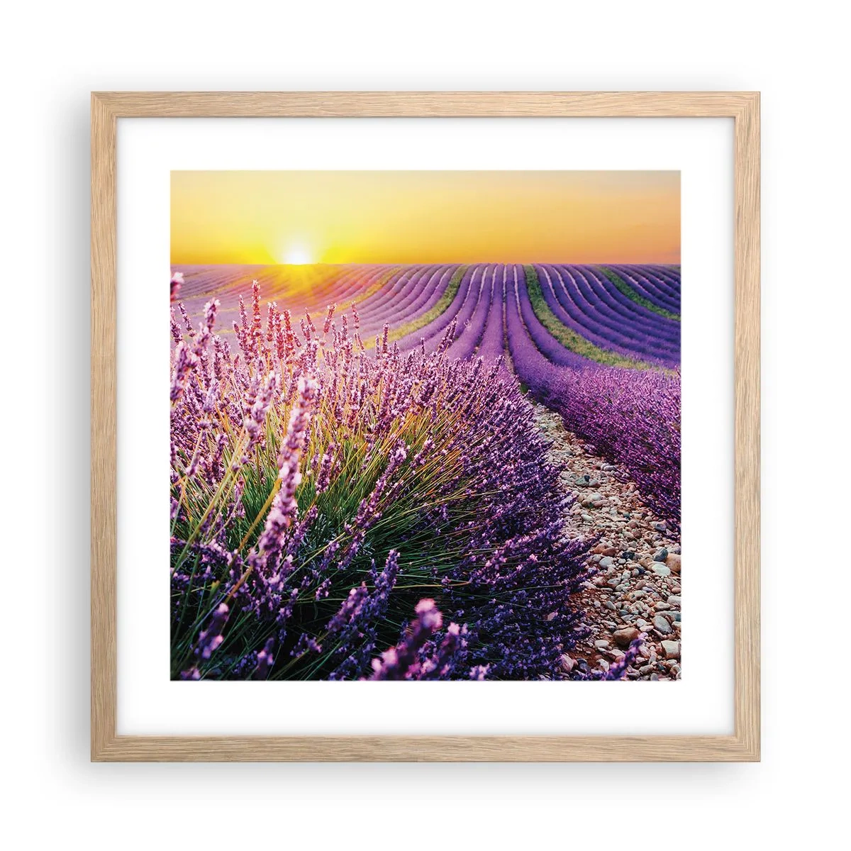 Affiche dans un chêne clair - Poster - Tige parfumée - 40x40 cm