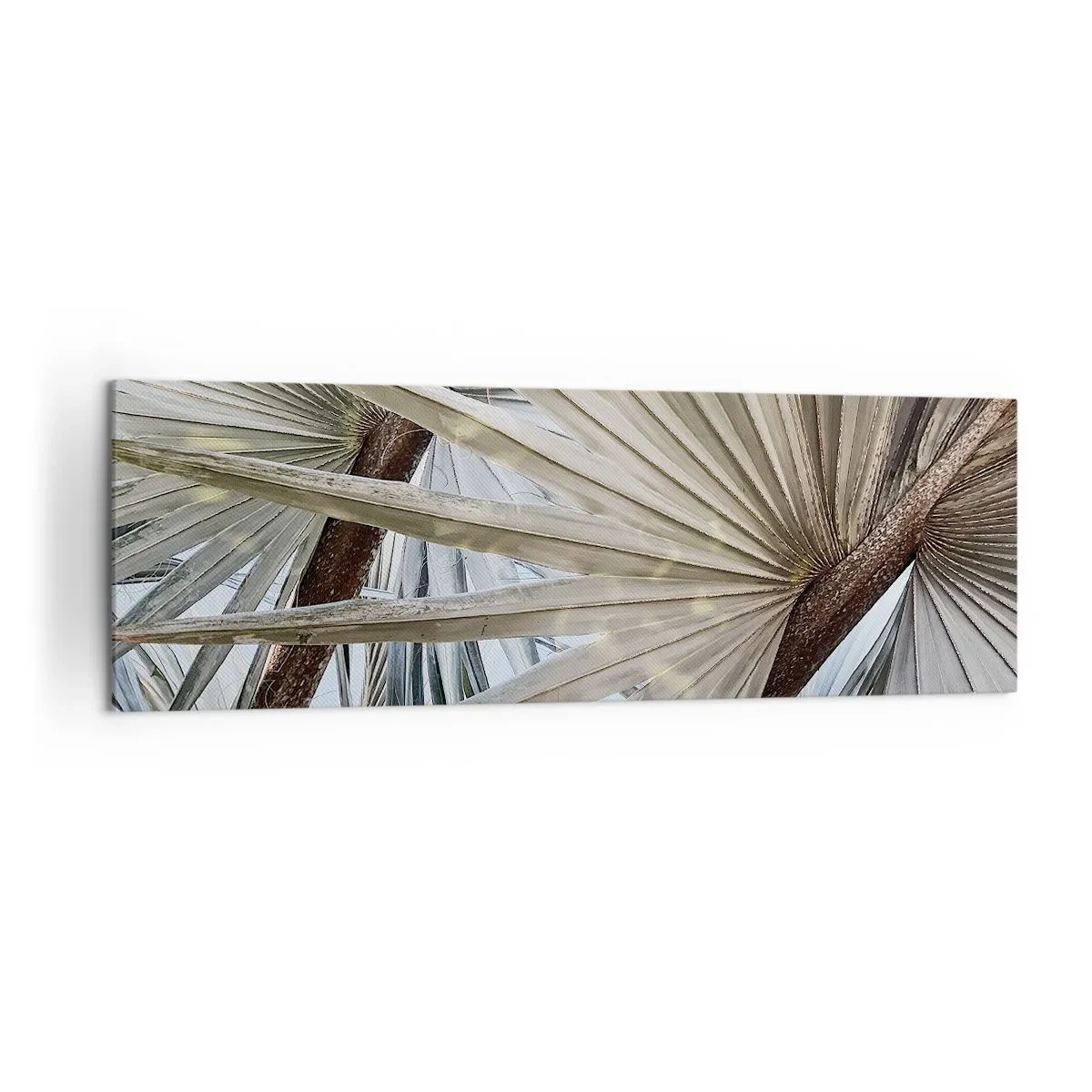 Impression sur toile - Image sur toile - Gros plan de feuilles de palmier dans des tons naturels de vert - 160x50cm - Evantail sous les tropiques - Décoration murale moderne pour le salon et la chambre ARTTOR