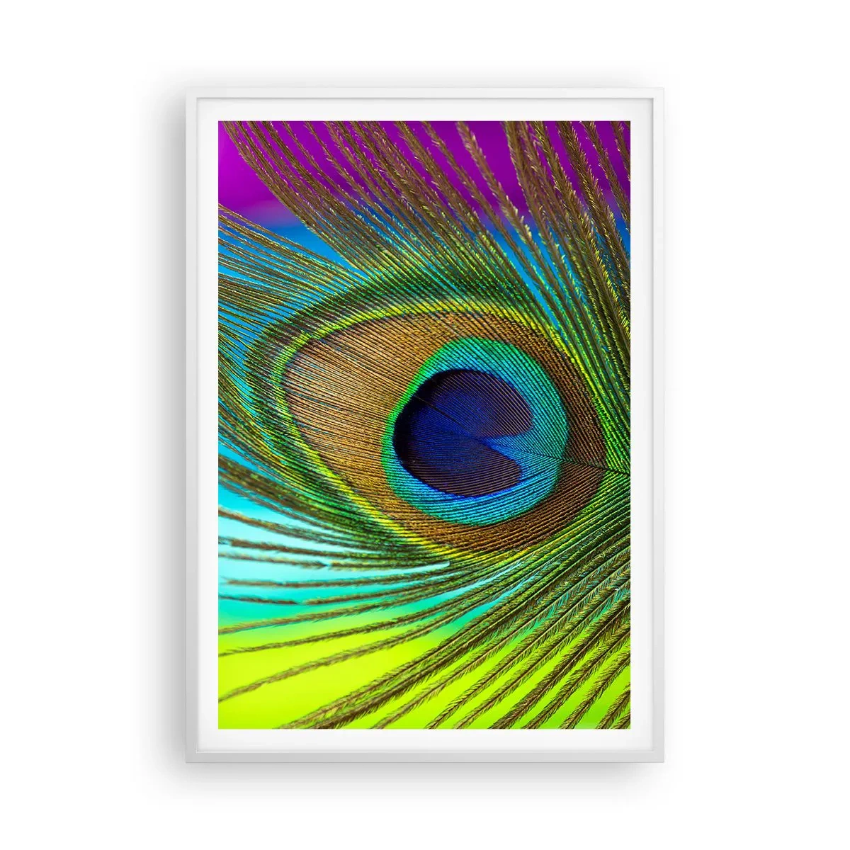 Affiche dans un cadre blanc - Poster - Les yeux dans les yeux - 70x100 cm