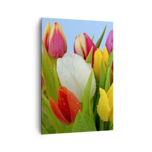 Impression sur toile - Image sur toile - Tulipes colorées couvertes de gouttes de rosée sur fond bleu - 70x100cm - Un arc-en-ciel fleuri en gouttes de rosée - Décoration murale moderne pour le salon et la chambre ARTTOR