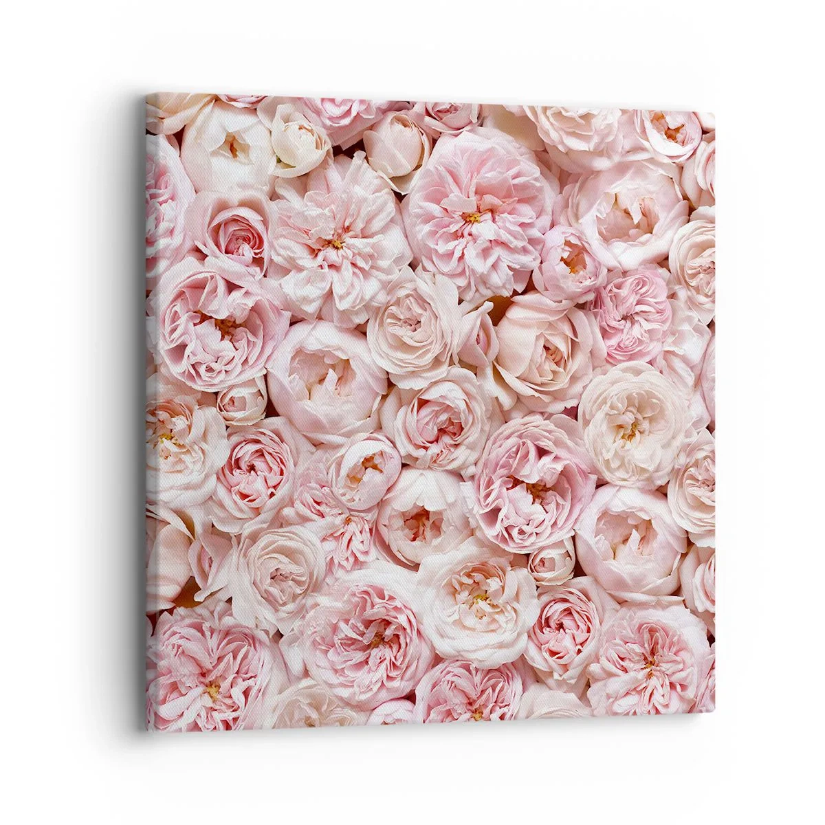 Impression sur toile - Image sur toile - Un lit de roses - 30x30 cm