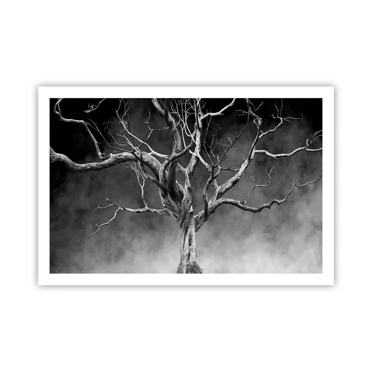 Affiche - Poster - Primordial et sacré - 91x61 cm