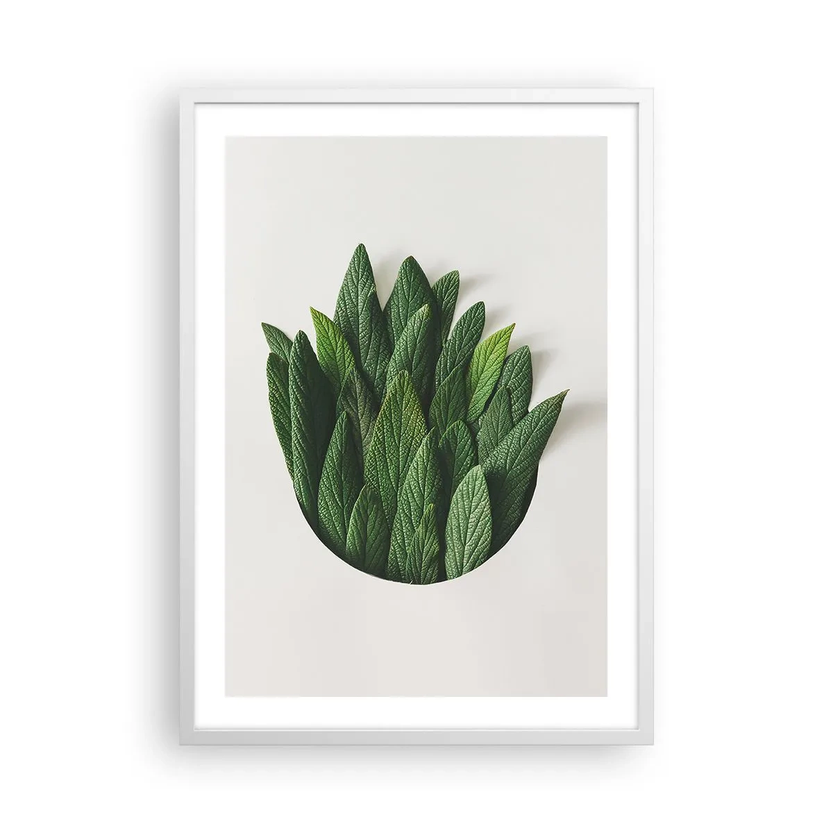 Affiche dans un cadre blanc - Poster - Curiosité sans retenue - 50x70 cm
