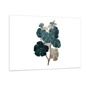 Impression sur verre - Image sur verre - Illustration botanique de feuilles vertes sur fond blanc - 120x80cm - De l'ancien herbier - Décoration murale moderne pour le salon et la chambre ARTTOR