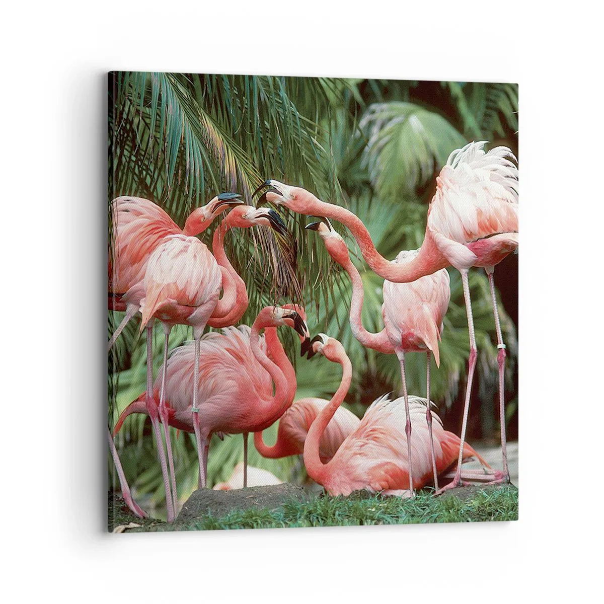 Impression sur toile - Image sur toile - Potins d'après-midi - 70x70 cm