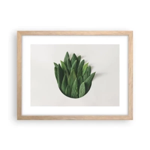 Affiche dans un chêne clair - Poster - Curiosité sans retenue - 40x30 cm