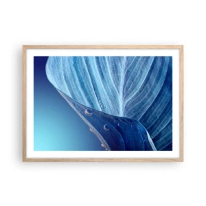 Affiche dans un chêne clair - Poster - Gouttes cachées du bleu - 70x50 cm