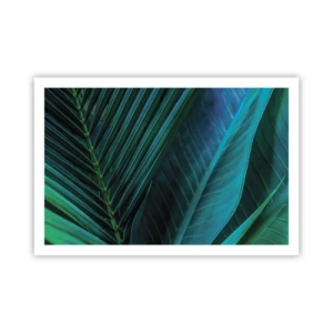 Affiche - Poster - L'anatomie du vert - 91x61 cm