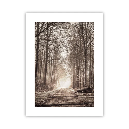 Affiche - Poster - Cathédrale de la forêt - 30x40 cm